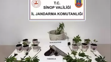 Sinop'ta Uyuşturucu Operasyonu