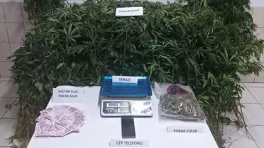Sinop'ta Uyuşturucu Operasyonu: 1 Tutuklama