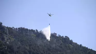 Sinop'taki Orman Yangını Kontrol Altına Alındı