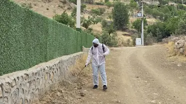 Şırnak'ta Çekirge İlaçlaması