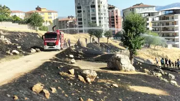 Cizre'de Anız Yangını Söndürüldü
