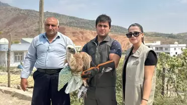 Şırnak'ta 4 Yaralı Kuş Tedavi Edilecek