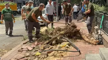Şişli'de Ağaç Devrildi, Cadde Kapandı