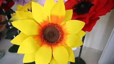 Hacer Ünal'ın Solmayan Çiçek Hayali