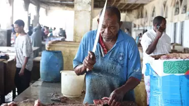 Somali'nin Canlı Balık Pazarı: Kawaanka Malayga