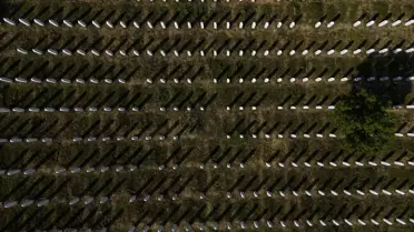 Srebrenitsa Soykırımı'nın 30. Yılı Anmasi