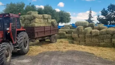 Talas'ta Yem Bitkisi Ekimi Destekleniyor