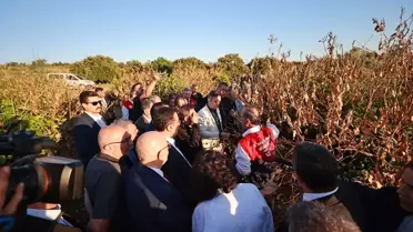 TBMM Komisyonu Mersin'de Zirai Donu İnceledi