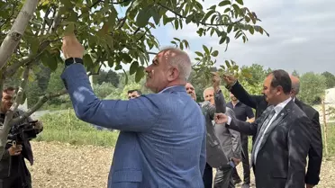 TBMM Komisyonu Bolu'da Zirai Don İncelemesi Yaptı