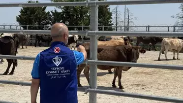 Kurban Etleri İhtiyaç Sahiplerine Dağıtılacak