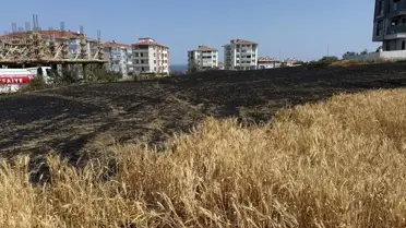 Tekirdağ'da 30 Dekar Buğday Tarlası Yandı