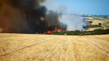 Şarköy'de Kısa Sürede Büyüyen Yangın