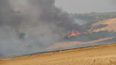 Tekirdağ'da Korkutan Yangın