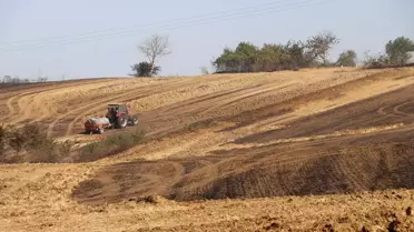 Tekirdağ'da Anız Yangını Söndürüldü