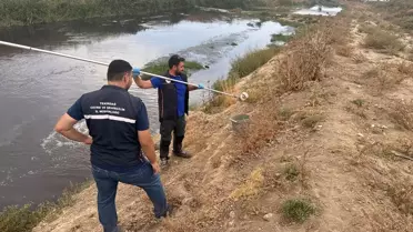 Çorlu Çayı'na Atık Su Deşarjı İnceleniyor