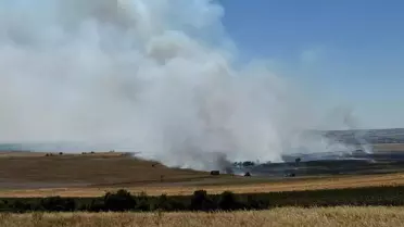 Hayrabolu'da Anız Yangını Kontrol Altına Alındı