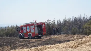 Şarköy'de Orman Yangını: Ekipler Müdahale Ediyor