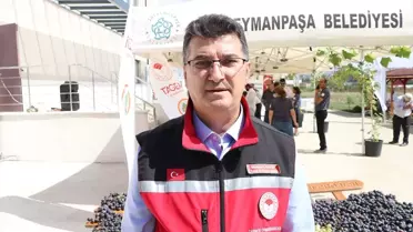 Yeni Üzüm Çeşitleri Tanıtıldı