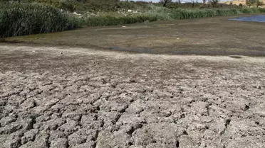 Müsellim Göleti'nde Su Seviyesi Düştü