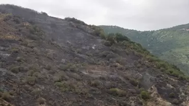 Şarköy'deki Orman Yangını Söndürüldü