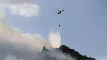 Şarköy'de Orman Yangınına Müdahale