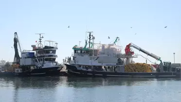 Tekirdağ'da Balıkçılar Rüzgarın Dinmesiyle Denize Açıldı