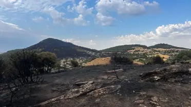 Keşan'da Orman Yangını İncelemesi