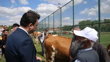 Süt Sığırcılığı Projesi Başladı