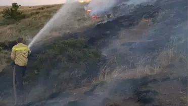 Tokat'ta Anız Yangını: 50 Dönüm Zarar