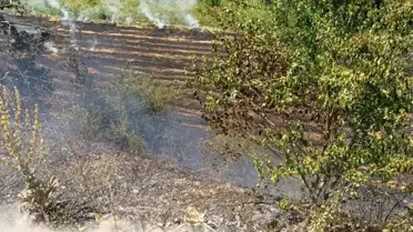 Almus'ta Anız Yangını