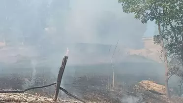 Turhal'da Arazi Yangını: 10 Dönüm Zarar Gördü