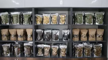TOGÜ Tarım Tesisinin Açılışı Yapıldı