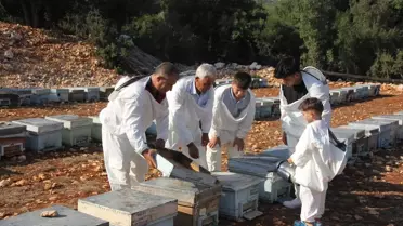 Erdemli Balı, Uluslararası Ödüller Kazandı