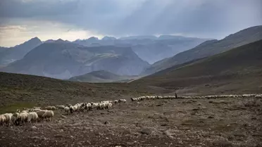 Tunceli'de Göçerlerin Peynir Üretimi