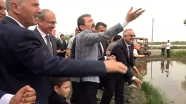 Bafra'da Geleneksel Çeltik Ekim Günü Etkinliği Gerçekleştirildi