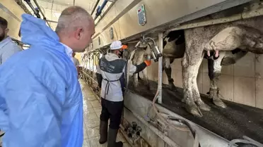 Mastitis için Yerli Çözüm: Cihaz Geliştirildi