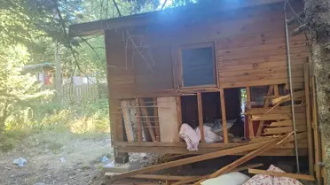 Uludağ'da Ayı Barakaya Saldırdı