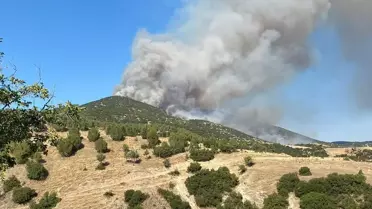 Uşak ve Manisa'da Yangınlar