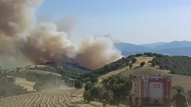 Uşak ve Manisa'da Yangın Mücadelesi