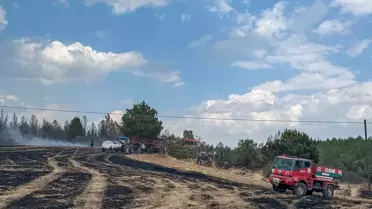 Uşak'ta Orman Yangını Kontrol Altına Alındı