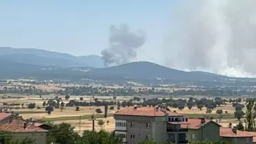 Uşak'ta Meşelik Alanda Yangın