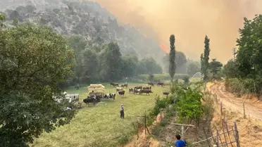 Uşak'ta Yangın: Ketenlik Köyü Tahliye Edildi
