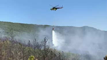 Uşak'ta Orman Yangınına Müdahale