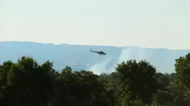 Uşak'ta Yangın: Tarım Arazisinden Ormana Sıçradı