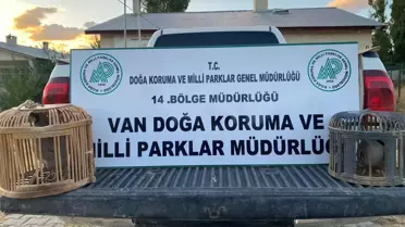 Van'da Kaçak Avcıya Büyük Ceza
