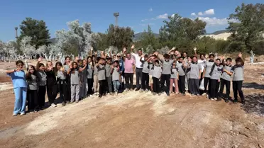 Milas'ta 300 Zeytin Fidanı Dikildi