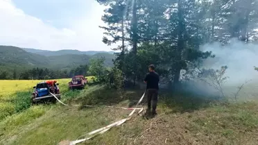 Mudurnu'da Yıldırım Yangını Kontrol Altına Alındı