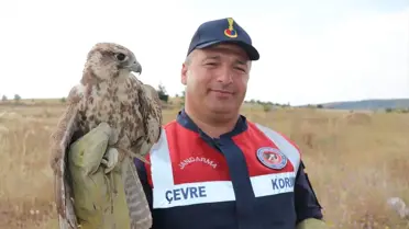 Yozgat'ta Ulu Doğan Koruma Altına Alındı