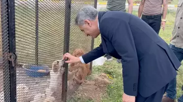 Yozgat'ta Hayvan Bakım ve Rehabilitasyon Merkezi İncelemesi