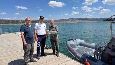 Yaralı Gri Balıkçıl Kuşu Tedavi Altında